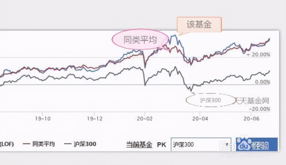 浦城匡山：绿为底色，融出诗情画意